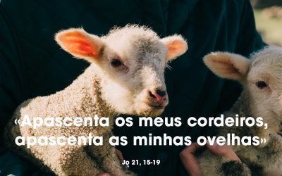 «Apascenta os meus cordeiros, apascenta as minhas ovelhas» Jo 21, 15-19