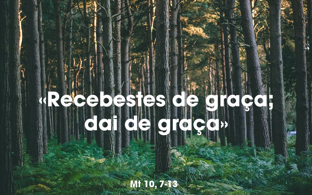 «Recebestes de graça; dai de graça» Mt 10, 7-13