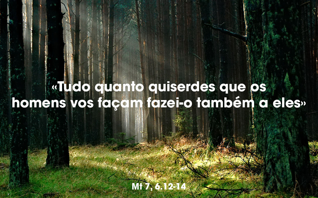 «Tudo quanto quiserdes que os homens vos façam fazei-o também a eles» Mt 7, 6.12-14