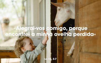 «Alegrai-vos comigo, porque encontrei a minha ovelha perdida» Lc 15, 3-7