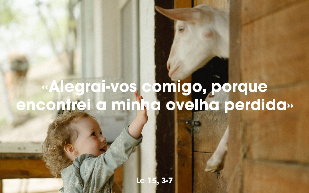 «Alegrai-vos comigo, porque encontrei a minha ovelha perdida» Lc 15, 3-7